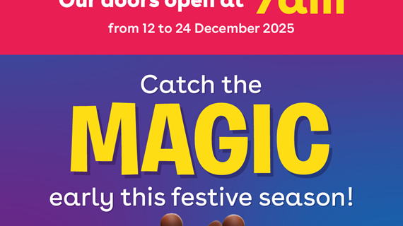 Toys R Us Festive Trading Hours